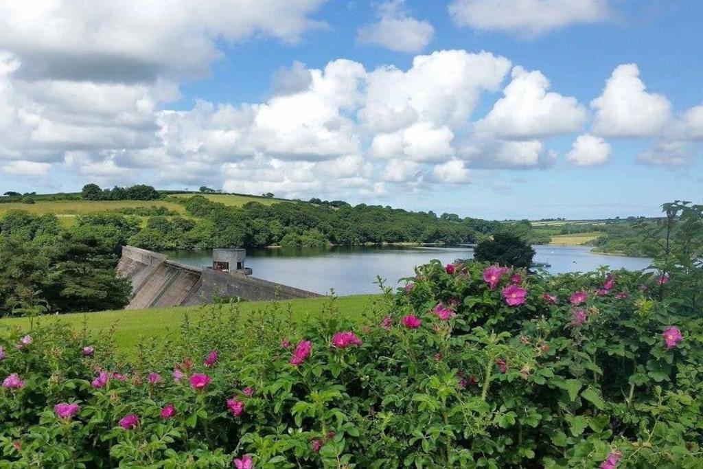 Ship Cottage Tenby Beach 50M Bagian luar foto